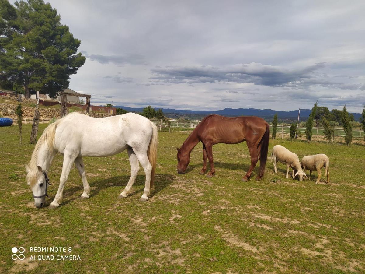 Casa Con Vistas, Piscina Y Animales De Granja, La Caseta تاراغونا المظهر الخارجي الصورة
