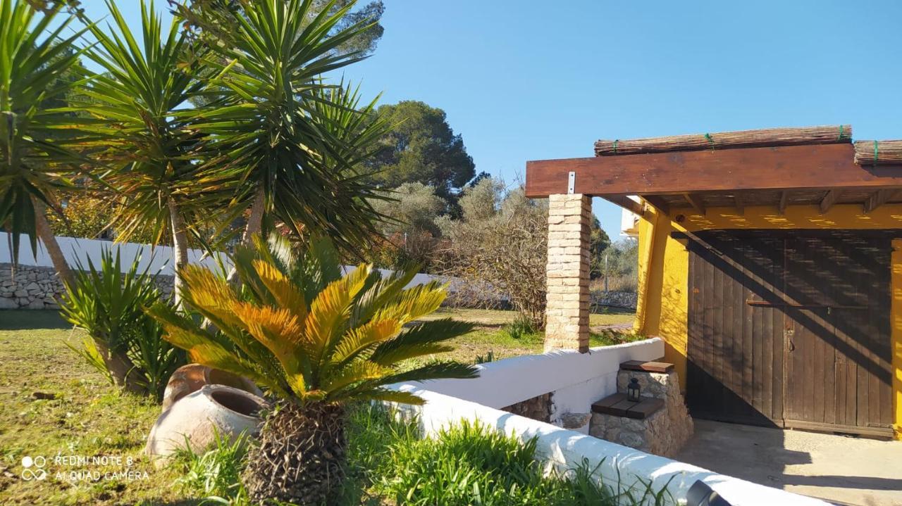 Casa Con Vistas, Piscina Y Animales De Granja, La Caseta تاراغونا المظهر الخارجي الصورة