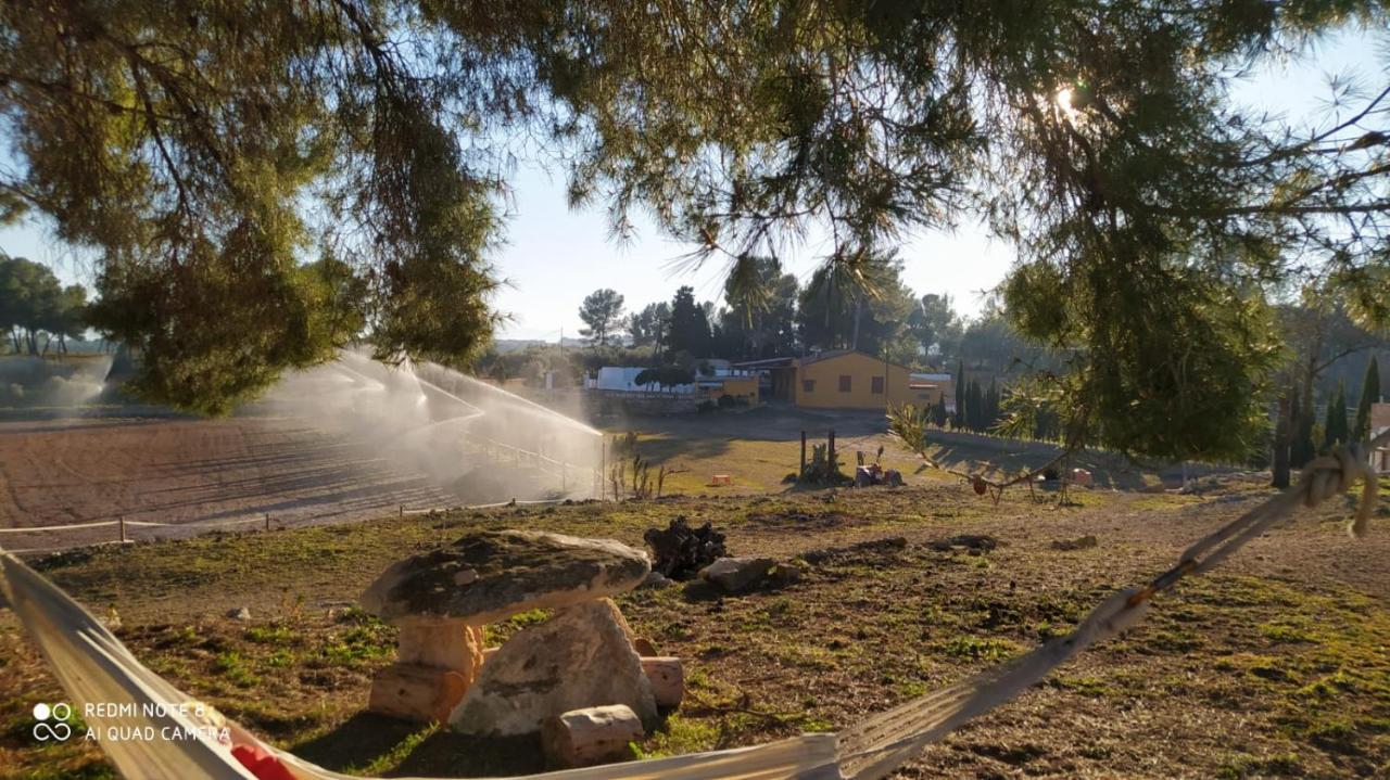 Casa Con Vistas, Piscina Y Animales De Granja, La Caseta تاراغونا المظهر الخارجي الصورة