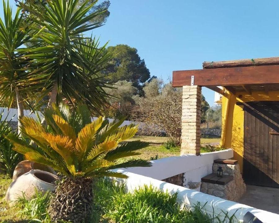 Casa Con Vistas, Piscina Y Animales De Granja, La Caseta تاراغونا المظهر الخارجي الصورة